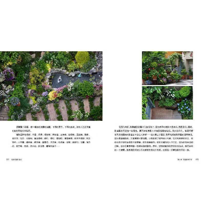 私家花園打造記 從庭院設計到綠化種植的全流程指南